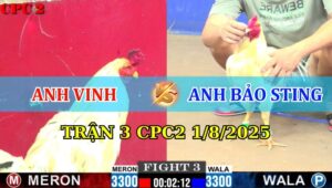 Trận 3 CPC2 1/8/2025