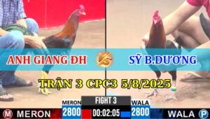 Trận 3 CPC3 5/8/2025