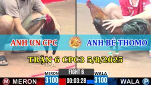 Trận 6 CPC3 5/8/2025