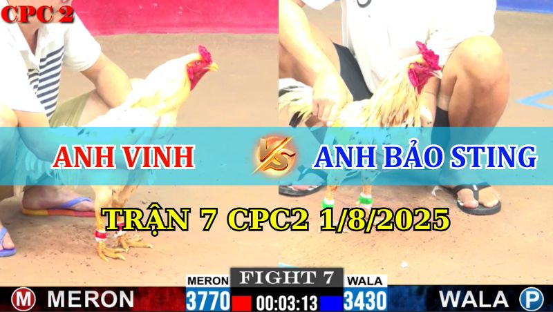 Trận 7 CPC2 1/8/2025