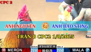 Trận 8 CPC2 1/8/2025