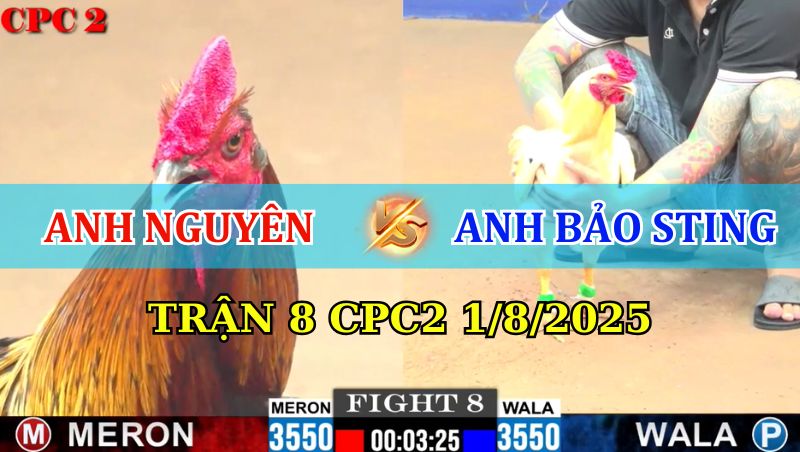TRẬN 8 CPC2 1/8/2025 IDOL BẢO STING NỐI DÀI CHUỖI THẤT BẠI 1 Trận 8 CPC2 1/8/2025