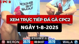 Trực Tiếp Đá Gà CPC2 Ngày 1/8/2025