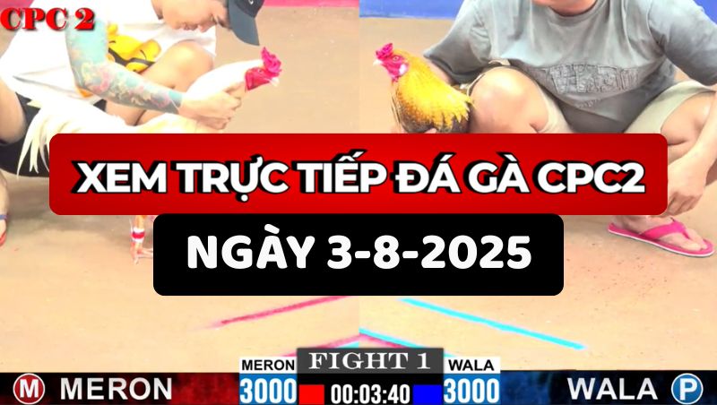 TRỰC TIẾP ĐÁ GÀ CPC2 NGÀY 3/8/2025 1 Trực Tiếp Đá Gà CPC2 Ngày 3/8/2025