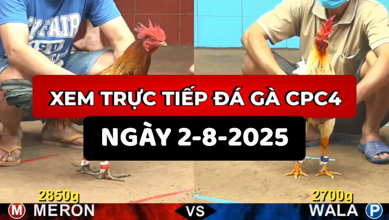 Trực Tiếp Đá Gà CPC4 Ngày 2/8/2025