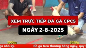 Trực Tiếp Đá Gà CPC5 Ngày 2/8/2025