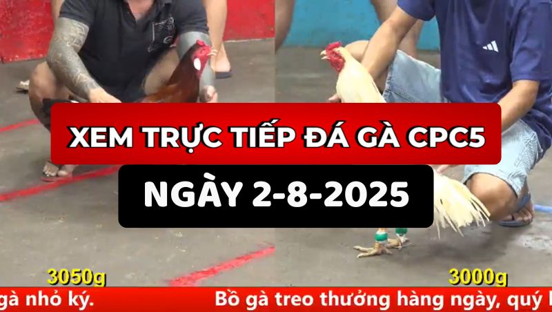 Trực Tiếp Đá Gà CPC5 Ngày 2/8/2025